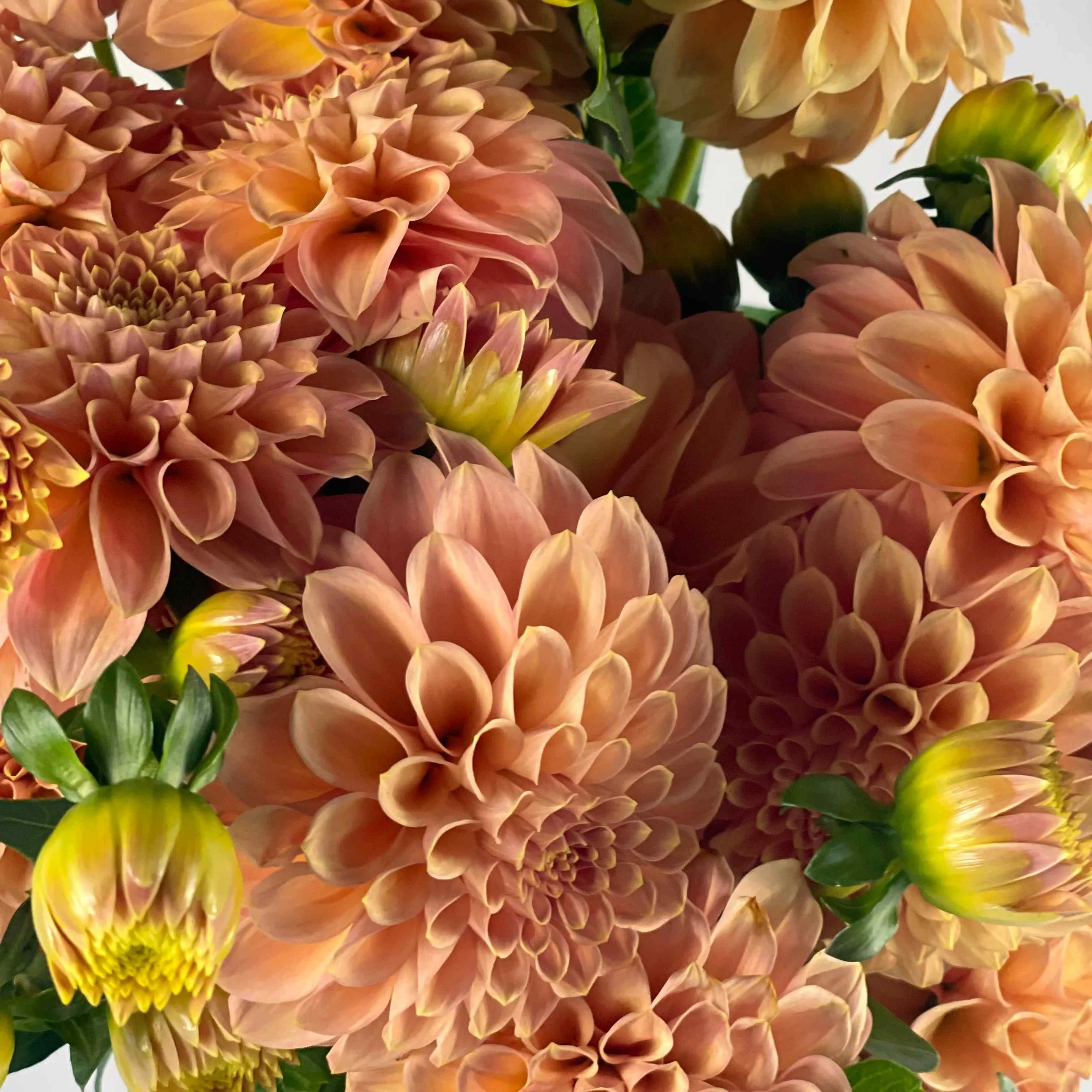 Rock+Run+Ashley.jpg?format=1000w